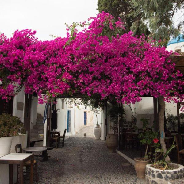 Villa Orpheus Santorini Мегалохори Екстериор снимка